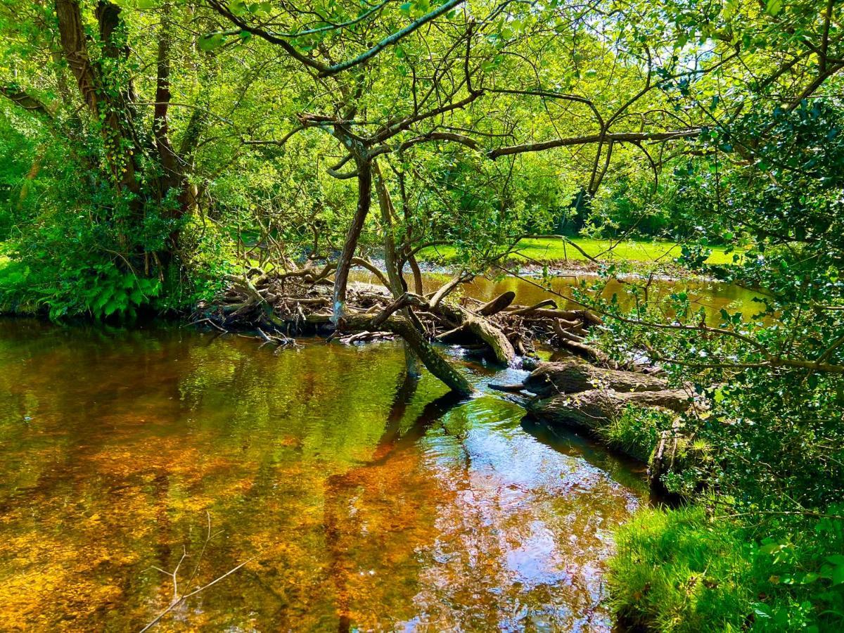 Jungle Lodge Лимингтън Екстериор снимка