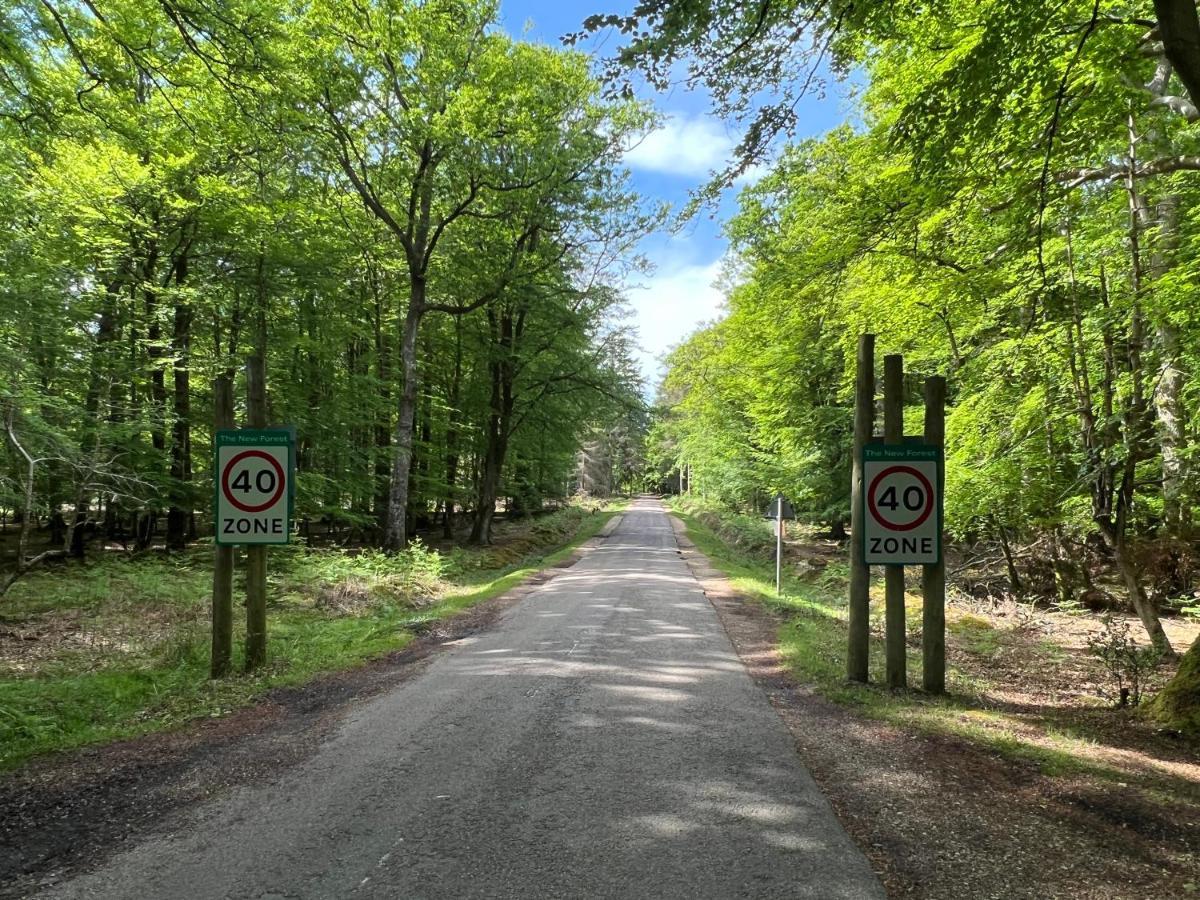 Jungle Lodge Лимингтън Екстериор снимка